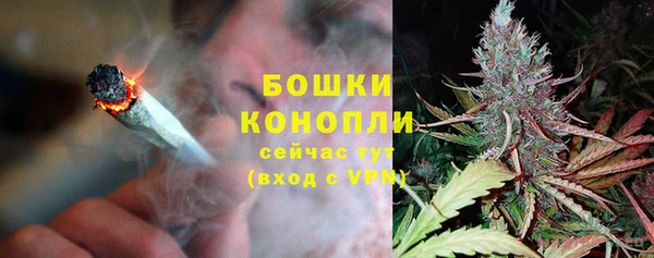 spice Усинск