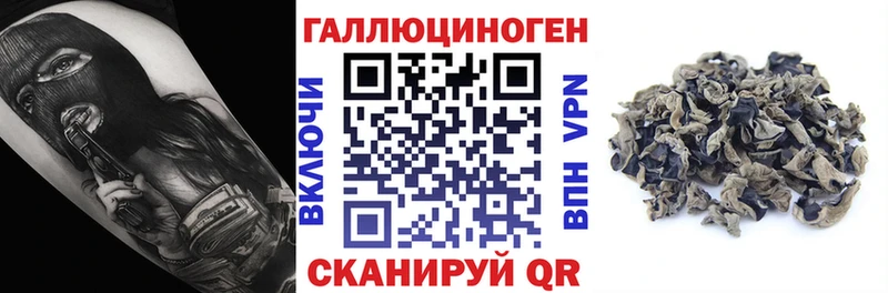 цены   blacksprut зеркало  Псилоцибиновые грибы Psilocybe  Боготол 